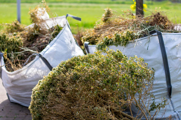 Best Junk Hauling Services  in Mayflower, AR